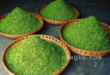 花果山云雾茶的功效与作用 花果山云雾茶的泡法-茗扬网