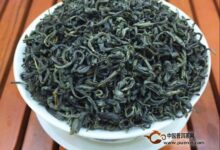 花果山云雾茶的保质期-茗扬网