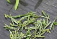 喝瑞草魁茶对身体有什么好处-茗扬网