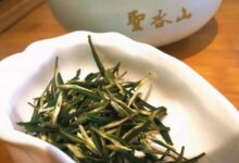 瑞草魁的功效与禁忌事项-茗扬网