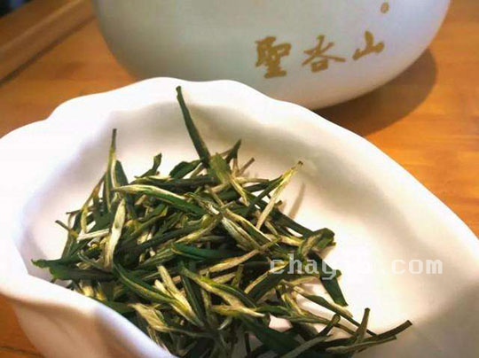 瑞草魁的功效与作用 瑞草魁的泡法
