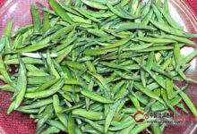 瑞草魁是什么茶-茗扬网