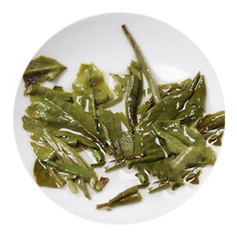 泉岗辉白：圆形绿茶中的珍品