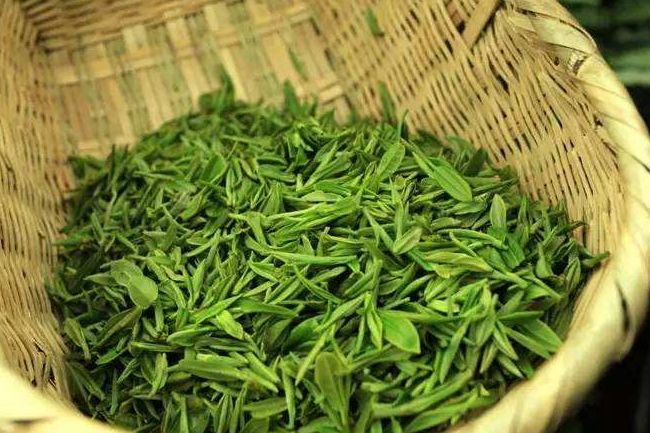 喝桂林毛尖茶对身体有什么好处