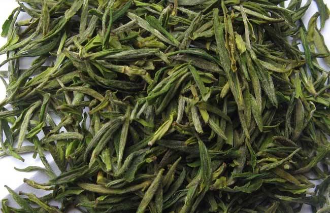 喝桂林毛尖茶对身体有什么好处