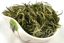 茶叶桂林毛尖的作用与禁忌-茗扬网