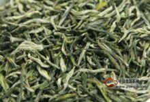 桂林毛尖怎样挑选-茗扬网