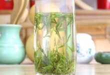 桂林毛尖怎么样 桂林毛尖的品质特点-茗扬网