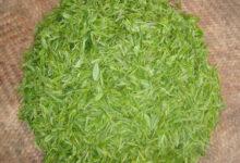 桂林毛尖怎么泡 桂林毛尖的冲泡方法-茗扬网