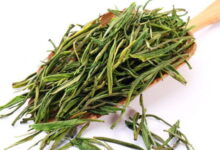 建德苞茶的功效与禁忌事项-茗扬网