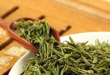 建德苞茶功效与禁忌-茗扬网