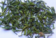 建德苞茶保健功效-茗扬网