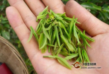 建德苞茶级别-茗扬网