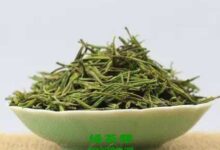 建德苞茶的功效与作用及禁忌-茗扬网