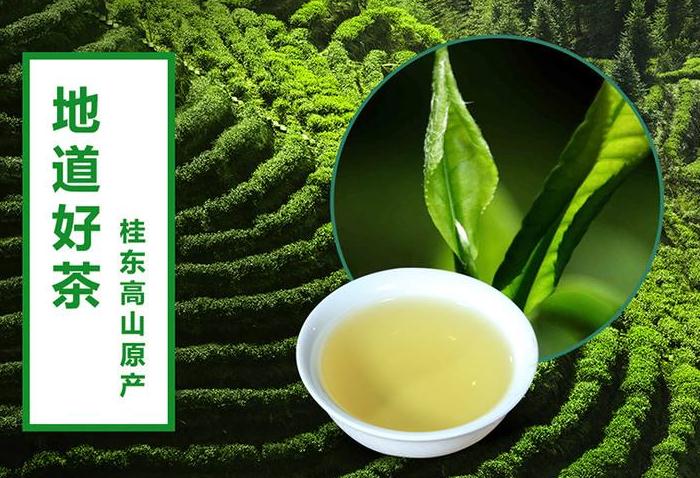 桂东玲珑茶怎么样 桂东玲珑茶的功效与作用