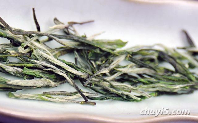 天山绿茶产地是哪里 天山绿茶产品特点