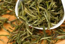 喝天山绿茶对身体有什么好处-茗扬网