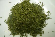 喝天山绿茶有什么好处，盘点天山绿茶的八大功效-茗扬网