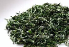 天山绿茶的功效与作用 天山绿茶的泡法-茗扬网