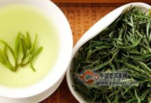 天山绿茶的储存方法-茗扬网