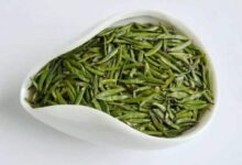 喝汉水银梭茶对身体有什么好处-茗扬网