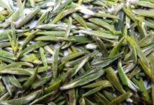 汉水银梭的功效与禁忌事项-茗扬网