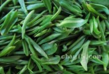 茶叶汉水银梭的作用与禁忌-茗扬网