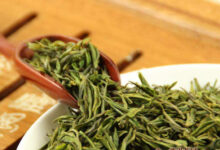 双井绿茶简介-茗扬网