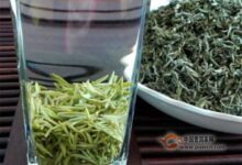 修水双井绿的功效-茗扬网