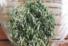 双井绿怎么样-茗扬网