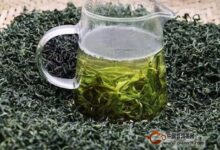 双井绿算好茶么-茗扬网