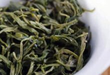 江西麻姑山出产什么茶-茗扬网