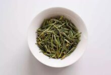 麻姑茶如何泡 麻姑茶的正确泡法-茗扬网