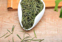 茶叶麻姑茶的作用与禁忌-茗扬网