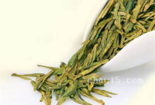 麻姑茶的功效与作用 麻姑茶的泡法-茗扬网