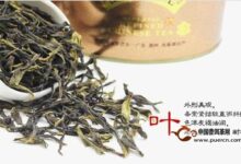 麻姑茶怎么鉴别好坏-茗扬网