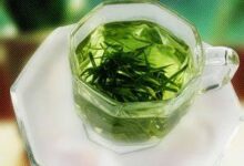 绿茶麻姑茶的功效与作用有哪些？有什么价值？-茗扬网
