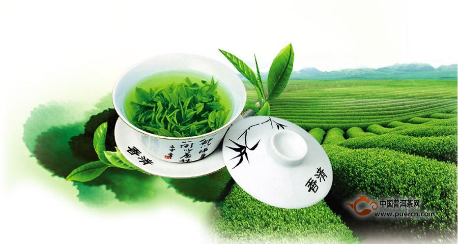 绿茶麻姑茶的功效与作用有哪些？有什么价值？