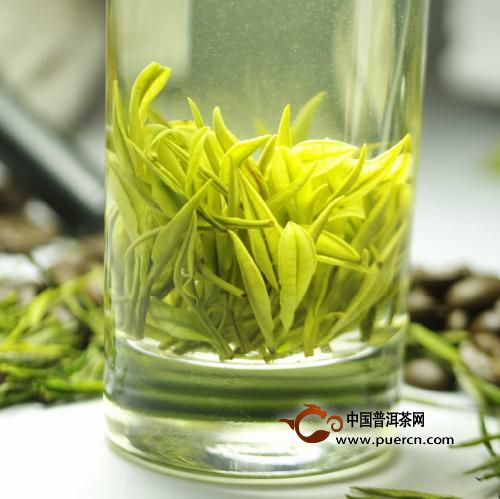 麻姑茶的饮用禁忌