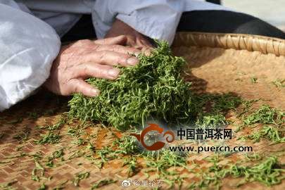 麻姑茶的制作工艺