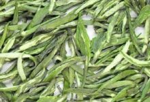 喝南山寿眉茶对身体有什么好处-茗扬网