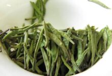 南山寿眉的功效与禁忌事项-茗扬网