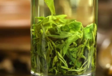 南山寿眉茶的功效与作用 喝南山寿眉茶的禁忌与注意事项-茗扬网