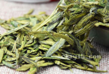 老竹大方的功效与作用 老竹大方的泡法-茗扬网