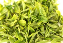 喝宝洪茶有什么好处，盘点宝洪茶的八大功效-茗扬网