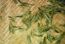 茶叶宝洪茶的作用与禁忌-茗扬网