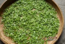 宝洪茶的产地及制法-茗扬网