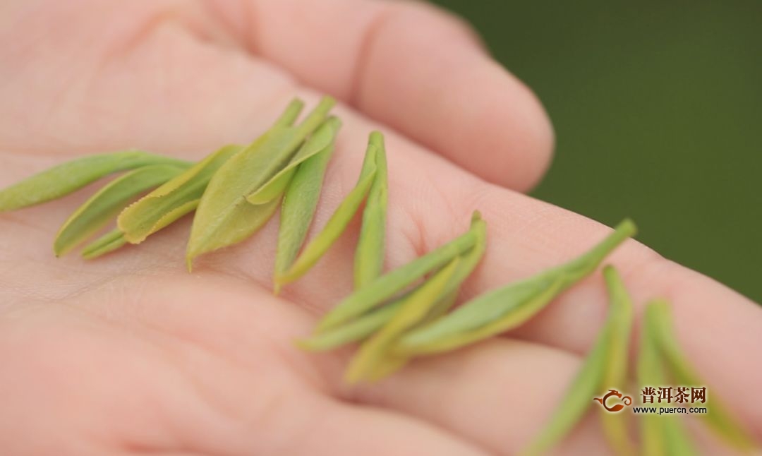 宝洪茶如何制作的，宝洪茶的采制工艺