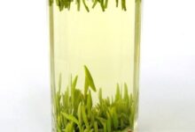 龟山岩绿功效与作用-茗扬网