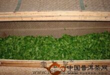 龟山岩绿的加工技术-茗扬网